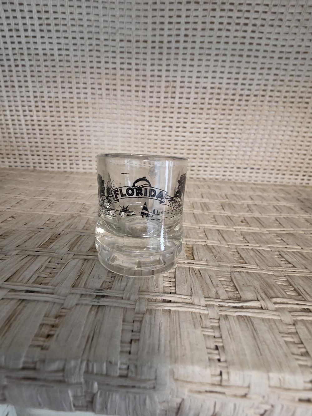 Florida Souvenir Clear Glass Shot Glass - Blue Print